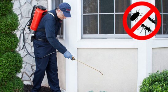 Gürün Dezenfeksiyon böcek ilaçlama ve haşere kontrolü — ilaclama-tr.com